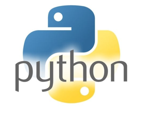 Python icon 